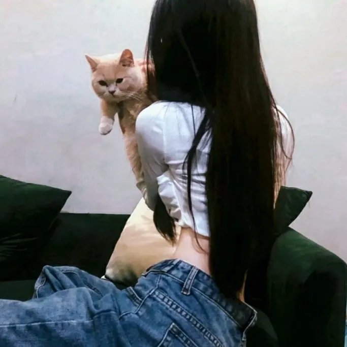 三个土耳其人和一个婴儿