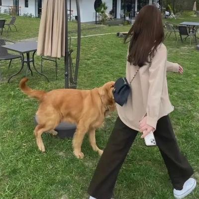 我有特殊沟通技巧